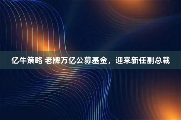 亿牛策略 老牌万亿公募基金，迎来新任副总裁